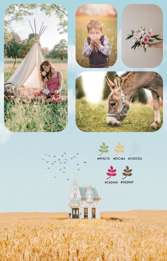 Portfolio_Camille-Aubisse_da_Cosmio-moodboard
